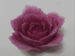1520776345.jpg