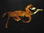 1520777124.jpg