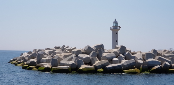 20180719_103306.jpg
